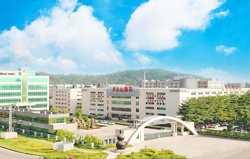 羅浮山國(guó)藥